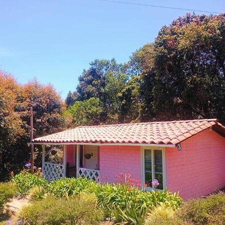 Hospedaje Santaelena -Chalets De Montana- サンタ・エレナ エクステリア 写真
