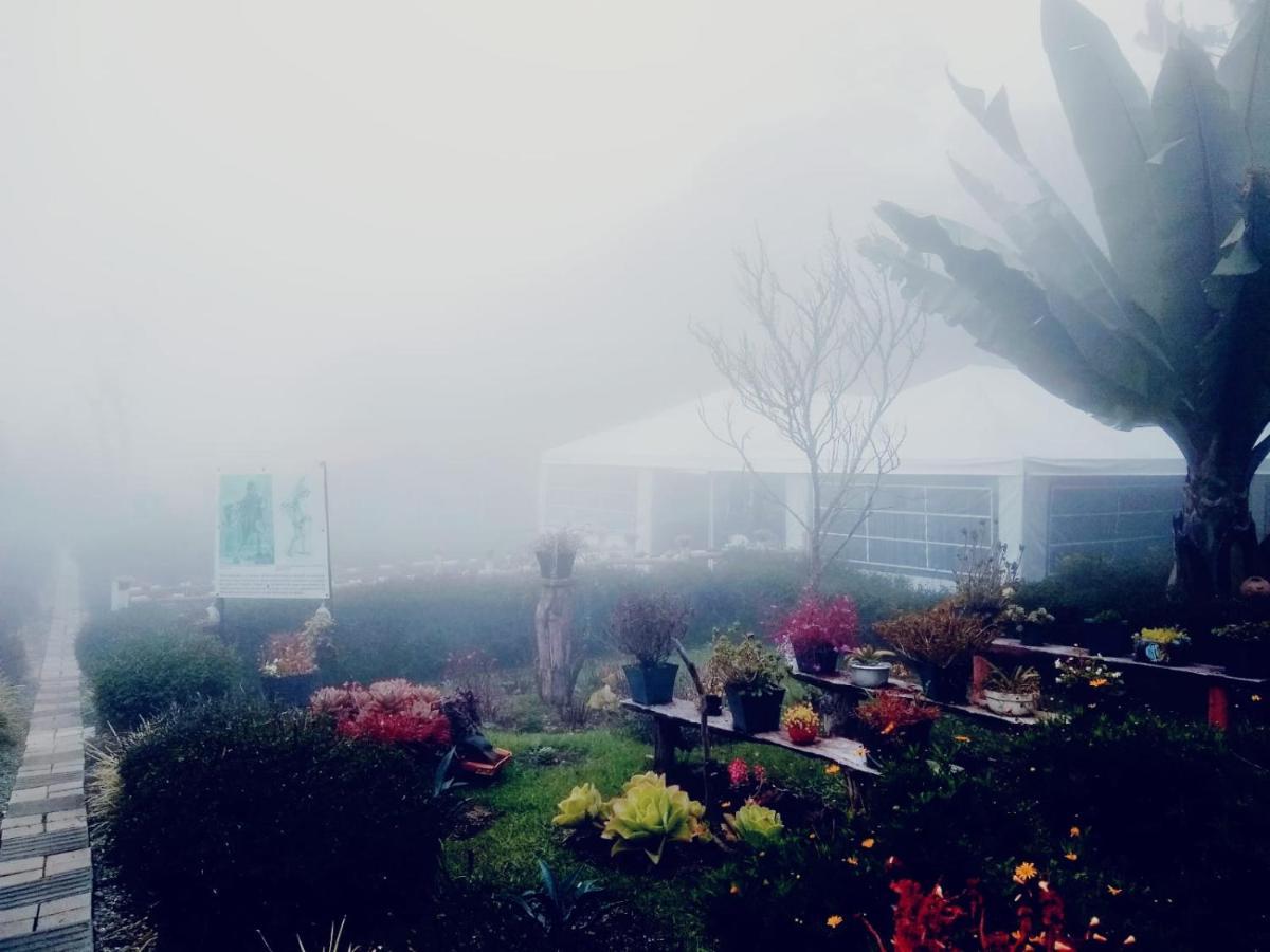 Hospedaje Santaelena -Chalets De Montana- サンタ・エレナ エクステリア 写真
