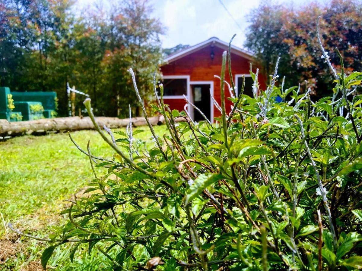 Hospedaje Santaelena -Chalets De Montana- サンタ・エレナ エクステリア 写真