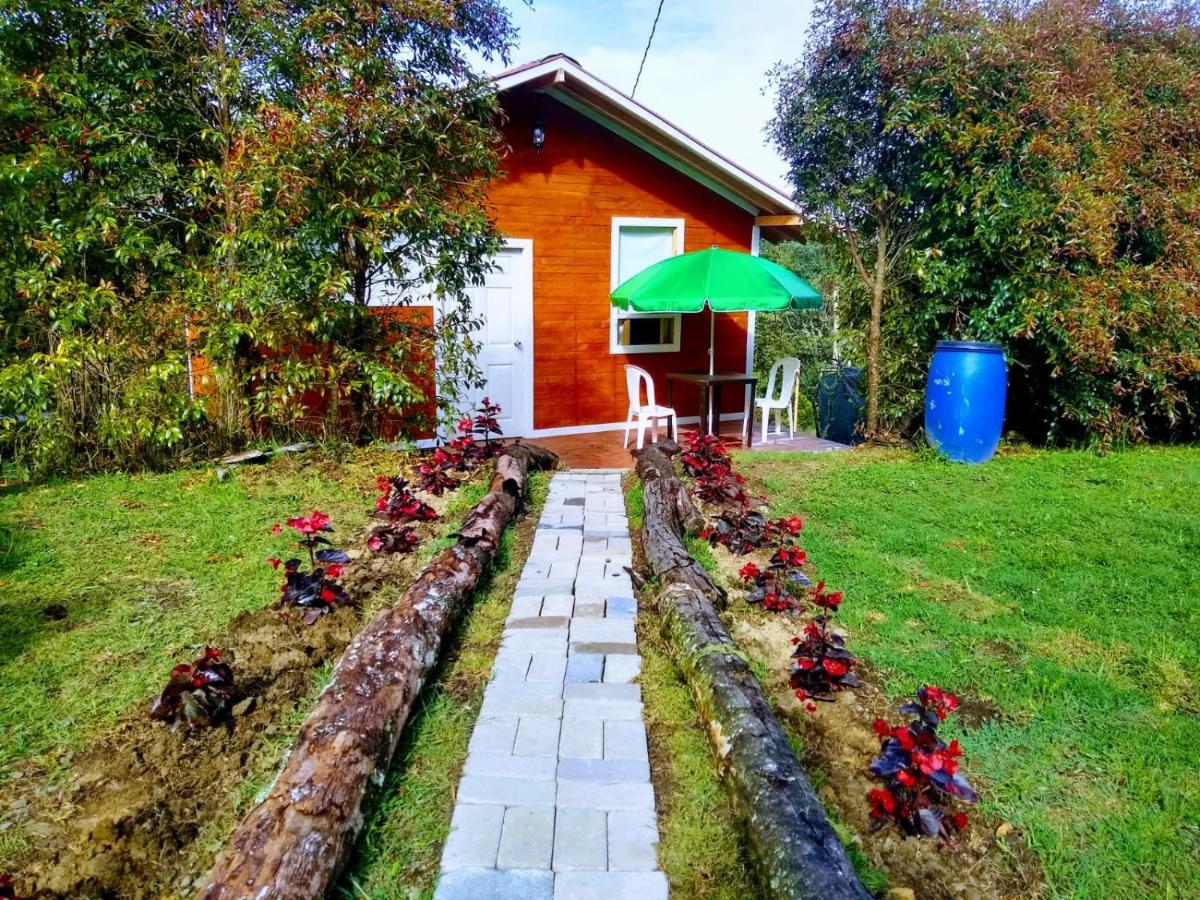 Hospedaje Santaelena -Chalets De Montana- サンタ・エレナ エクステリア 写真