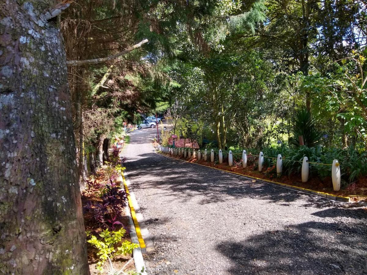 Hospedaje Santaelena -Chalets De Montana- サンタ・エレナ エクステリア 写真